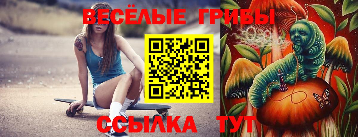 Великий Новгород  где купить наркотик  Вход с VPN  Псилоцибиновые грибы Cubensis 